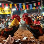 Situs Judi sabung ayam dengan odds terbaik